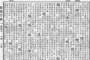 康熙字典取名专用康熙字典在线查字 康熙字典取名专用app