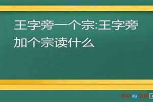 王字旁一个羽念什么 王字旁一个羽怎么读