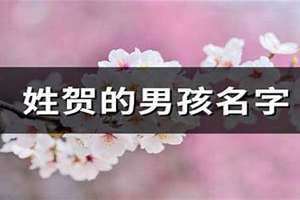 姓贺的男孩名字有寓意(姓贺的男孩名字)