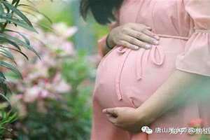 梦见亲人怀孕是什么预兆 女性(梦见亲人怀孕)