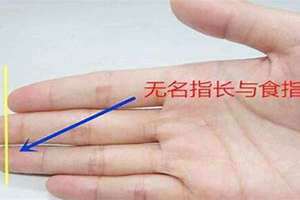 食指和无名指长短有什么说法(食指和无名指)