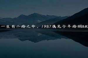 87年的兔是二婚命吗(87年的兔是二婚命)