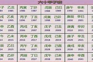 2001年五行属什么金木水火土(2001年五行属什么)