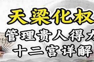 天梁化权入夫妻宫 天梁化权入命宫