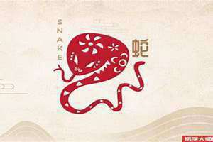 生肖属蛇今日运势属蛇的人今日运程(生肖属蛇今日运势)