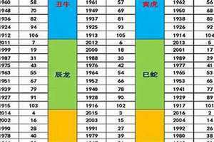 1993年五行属什么命一览表(1993年五行属什么)