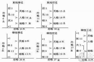 五格数理查询表五格测试名字(五格数理查询表)