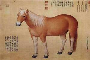马姓取名女孩 马姓取名最新版的