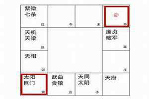 巨门星入命宫落陷(巨门星入命宫)