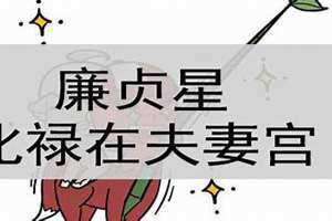 夫妻宫廉贞破军 夫妻宫廉贞天相