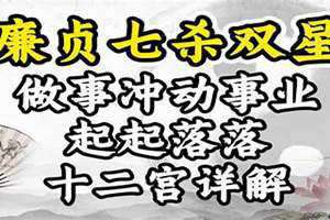 夫妻宫廉贞七杀是什么意思 夫妻宫廉贞七杀天钺