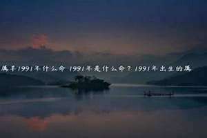 1991年什么命五行属什么(1991年什么命)