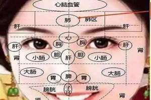 中医脸部对应的五脏六腑图 脸部对应的五脏六腑图 口诀