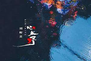 心太野后海大鲨鱼歌词 心太野歌词