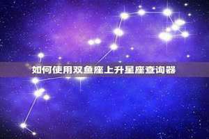 个人上升星座查询器(上升星座查询器)