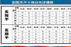 八字十神查询软件(八字十神查询)