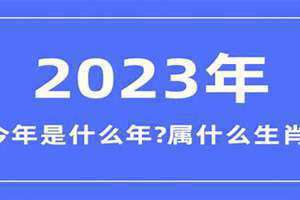 1982是什么年天干地支(1982是什么年)