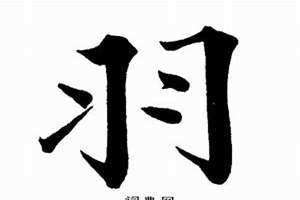 羽字旁的字有哪些字 羽字组词