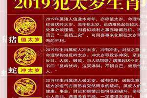 2019年犯太岁的5个生肖属相(2019年犯太岁)