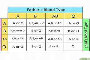 如何查血型自己(如何查血型)