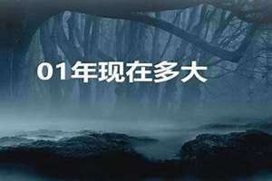 2001年多大了今年2024(2001年多大了)