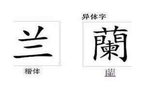 兰字取名的寓意女孩名字(兰字取名的寓意)