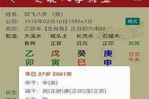双飞八字排盘软件下载ios 双飞八字生辰八字算命免费