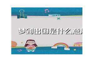 梦到出国了怎么回事(梦到出国)
