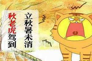 秋老虎是什么意思啊 漫画 俗语秋老虎是指啥