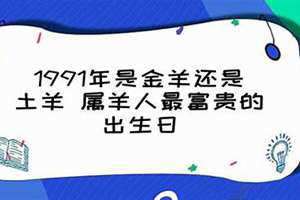 1991年是金羊还是土羊幸运数字是什么(1991年是金羊还是土羊)