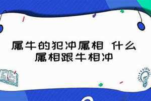 属牛的犯冲属相是谁(属牛的犯冲属相)