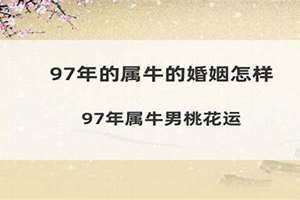 1997年属牛的婚姻(97年属牛的婚姻)