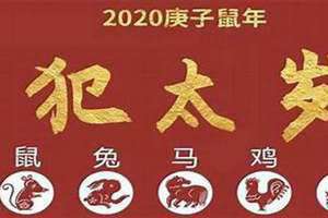 属羊今年犯太岁吗2024(属羊今年犯太岁吗)