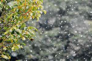 梦见雨夹雪是什么征兆 女性 梦见雨夹雪周公解梦