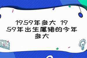 1959年多大了今年2024(1959年多大)