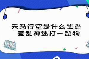 天马行空打一动物生肖谜底 天马行空打一动物生肖最佳答案