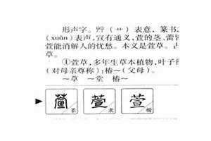 萱的意思及寓意女孩名字 萱的意思和含义是什么意思