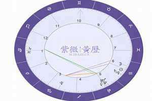 星座第七宫代表什么(第七宫代表什么)