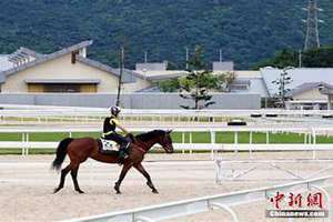 香港赛马会排位表 赛事 资料 主页(香港赛马会排位)