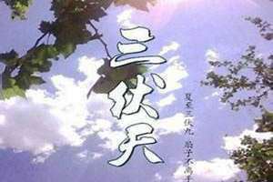 伏日汤饼翻译(伏日)