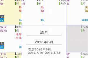 紫微斗数实验室排盘工具 紫微斗数实验室 下载