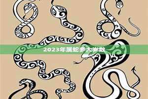 属蛇多大年龄2024(属蛇多大)