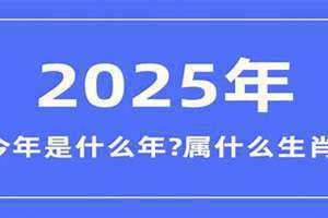 2025是什么年生肖(2025是什么年)