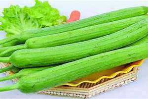 梦见丝瓜藤上好多丝瓜(梦见丝瓜)