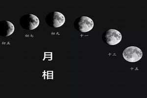 农历大小月口诀(农历大小月)