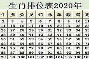 2024年属老鼠的今年几岁(属老鼠的今年几岁)