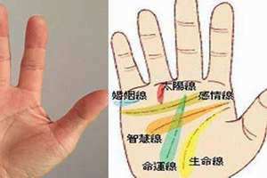 掌纹的秘密全图解_pdf 掌纹的秘密全图解免费下载