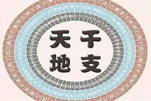 什么旺土命的人(什么旺土命)