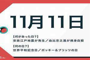 11月11日是什么节日(11月11日)