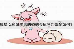 男虎女猪婚姻是否相配有几份(男虎女猪婚姻是否相配)